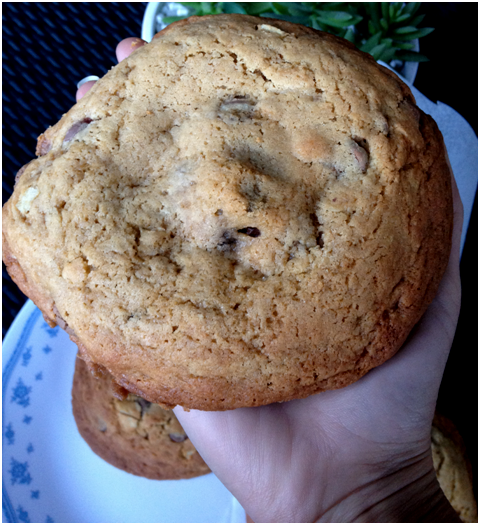 brownie cookie 3